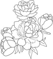 Blütenpfingstrose flwoer Vektorskizze, monochromes handgezeichnetes Vektorblumenmuster. Skizzenillustration mit Blumen. blumendesign für karte oder druck, handgemalte blumenillustration isolieren auf weiß. vektor