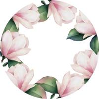 hand dragen vattenfärg ram av rosa magnolia blommor, isolerat illustration på en vit bakgrund vektor