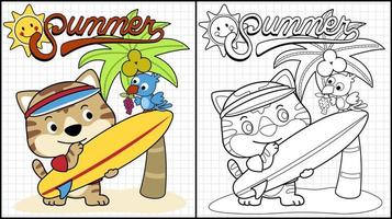 Malbuch des niedlichen Katzenkarikatur mit Surfbrett, kleiner Vogel, der Traubenbarsch auf Surfbrett trägt, Sommerelementillustrationen vektor