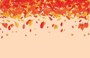 färgrik höst falla löv blommig bakgrund illustration med lönn blad vektor