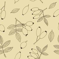 Hagebuttenbeeren und Blätter nahtlose Muster handgezeichnet im Doodle-Stil. geeignet für Tapeten, Textilien, Packpapier, Hintergrund. skizze, monochrom, minimalismus, skandinavisch vektor