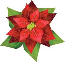 frohe weihnachten poinsettia blume, kann diese grafik für jede art von waren verwendet werden. Es ist perfekt für alle Projektverpackungen, Schreibwaren, Tassen, Taschen, Kissen, T-Shirts usw., was immer Sie wollen vektor