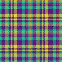 Vektor-Textil-Tartan. Textur nahtloses Muster. Überprüfen Sie den karierten Stoffhintergrund. vektor