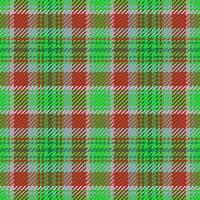 vektor textur tyg. kolla upp sömlös tartan. textil- bakgrund pläd mönster.