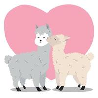 söt alpacas par vektor