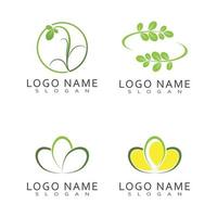 Moringa Blatt Logo Vorlage Vektor Symbol Natur