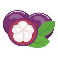 Lebensmittel-Mangostan-Symbol Cartoon-Vektor. Sommerfrucht vektor