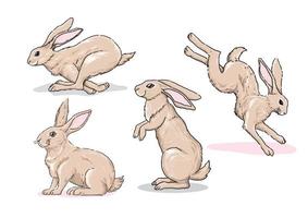 samling av hand dragen söt kanin illustration vektor