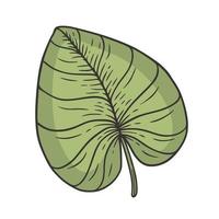tropisk blad klotter vektor illustration