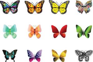 stor samling av färgrik fjärilar. vektor