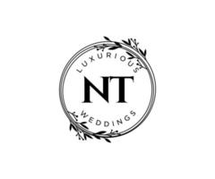 nt Initialen Brief Hochzeit Monogramm Logos Vorlage, handgezeichnete moderne minimalistische und florale Vorlagen für Einladungskarten, Datum speichern, elegante Identität. vektor