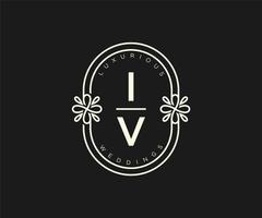 iv initialer brev bröllop monogram logotyper mall, hand dragen modern minimalistisk och blommig mallar för inbjudan kort, spara de datum, elegant identitet. vektor