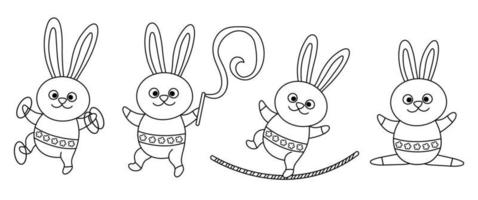 vektor svart och vit uppsättning med gymnast kaniner med hula ring, spänd lina, band. söt linje djur- akrobat. cirkus eller sport konstnär färg sida. nöje Semester ikoner. festival karaktär