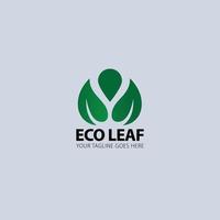 eco blad loogo vektor