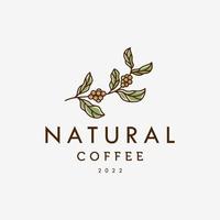 natürliches Bio-Kaffee-Logo-Konzept. Hipster minimaler Logo-Vektor der Kaffeebohne-Pflanzenzweige mit Blatt-einfacher Linienumriss-Ikone für natürliches Café-Konzept. vektor