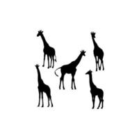 giraff uppsättning silhuett ikon logotyp vektor