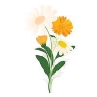 Calendula und Kamille. Wildblumen in einem Blumenstrauß. Vektorvorratillustration. getrennt auf einem weißen Hintergrund. vektor