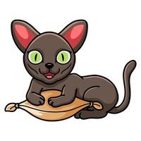 niedlicher Korat-Katzen-Cartoon auf dem Kissen vektor