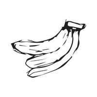 Bananenhandzeichnung. Bananenvektorillustration für Design mit Linienart vektor