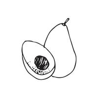 Avocado-Handzeichnung. Avocado-Vektorillustration für Design mit Linienstil vektor