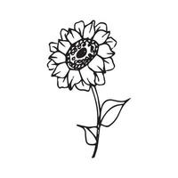 handgezeichnete Blumen zur Dekoration. Strichzeichnungen handgezeichnete Blumen im Vintage-Stil vektor
