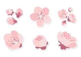 Rosa Pflaumenblüte vektor