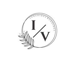 iv initialen brief hochzeitsmonogramm logos vorlage, handgezeichnete moderne minimalistische und florale vorlagen für einladungskarten, datum speichern, elegante identität. vektor