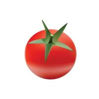 realistisk mogen tomat vektor design