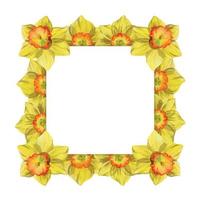 aquarell handgezeichneter quadratischer rahmen mit frühlingsblumen, narzissen, schneeglöckchen, zweigen, blättern. isoliert auf weißem Hintergrund. design für einladungen, hochzeit, grußkarten, tapeten, druck, textil vektor