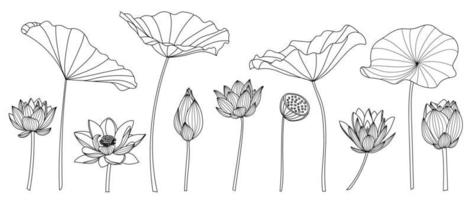 Satz von Lotus handgezeichneten Vektor. sammlung orientalischer blumen, lotusblumen, botanische, florale in linienkunst. design für logo, luxushochzeitseinladung, cover, verpackung und hintergrundvorlage. vektor