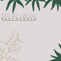 vektor botanisk, blommor, växter baner bakgrund fyrkant social media posta,