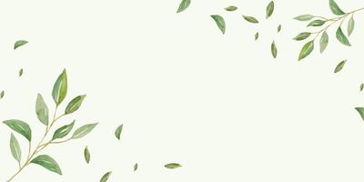 ört- minimalistisk och modern vektor baner med fri Plats för text. hand målad växter, grenar, löv på en vit bakgrund. grönska bröllop enkel horisontell mall.
