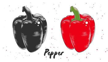 vektor graverat stil illustration för affischer, dekoration och skriva ut. hand dragen skiss av röd bulgarian peppar i svartvit och färgrik. detaljerad vegetarian mat teckning.