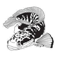 Schlangenkopffisch Channa-Vektorillustration für Logo-, Aufkleber- oder Hemddesign. vektor