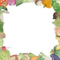 vattenfärg ram med olika grönsaker på vit bakgrund platt layout. begrepp av friska äter, mat bakgrund. ram av grönsaker vektor
