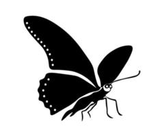 schwarz-weißes Schmetterlingslogo vektor