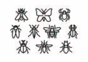 Gratis Insect Line Icon Vector