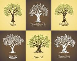 Olivenbaumsymbole mit Zweigen, Blättern. Öletiketten vektor