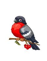 domherre fågel på viburnum gren med röd bär vektor