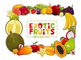 sommerlebensmittel-vektorrahmen von exotischen tropischen früchten vektor