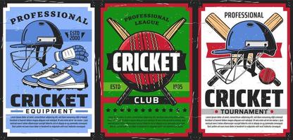 Poster für Cricket-Sportspielgeräte vektor