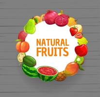 Rahmen aus tropischen Früchten und Beeren. landwirtschaftliches Essen vektor