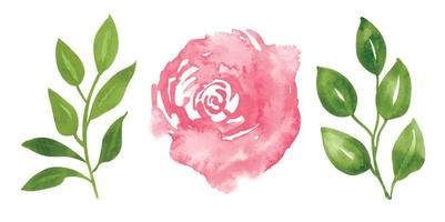 aquarellblumenset mit roter rosa rosenblume und zweigen mit grünen blättern. handgezeichnete illustration für grußkarten oder hochzeitseinladungen auf isoliertem hintergrund. abstrakte Aquarellzeichnung vektor