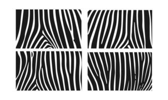 vektor hud zebra textur