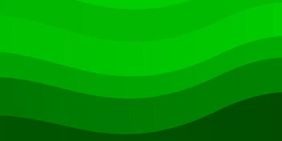 ljusgrön layout med kurvor. vektor
