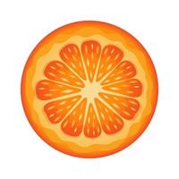 orangefarbene runde Scheibe. eine halbe Orange. saftige Frucht isoliert auf weißem Hintergrund. vektor