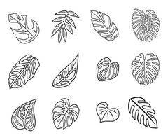 tropisk växt blad klotter ikon vektor