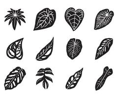 tropisk växt blad klotter ikon vektor
