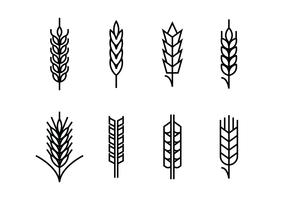 Weizen Ohren stellen Icons vektor