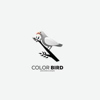 taube vogel farbe logo vorlage illustration vektor